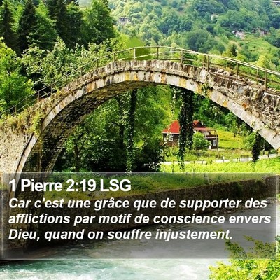 1 Pierre 2:19 LSG Bible Verse Image