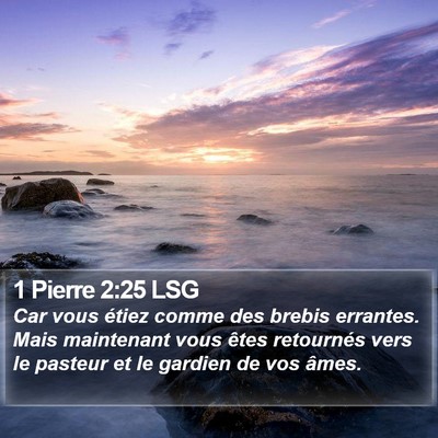 1 Pierre 2:25 LSG Bible Verse Image