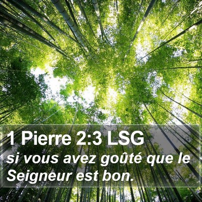 1 Pierre 2:3 LSG Bible Verse Image