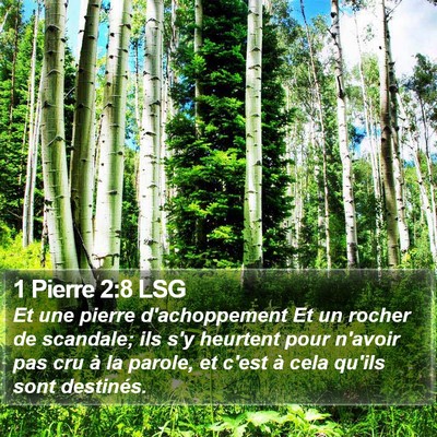 1 Pierre 2:8 LSG Bible Verse Image
