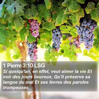 1 Pierre 3:10 LSG Bible Verse Image