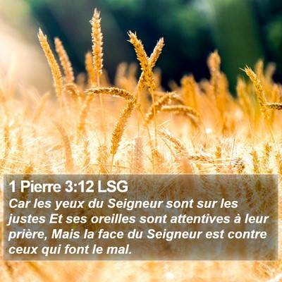 1 Pierre 3:12 LSG Bible Verse Image