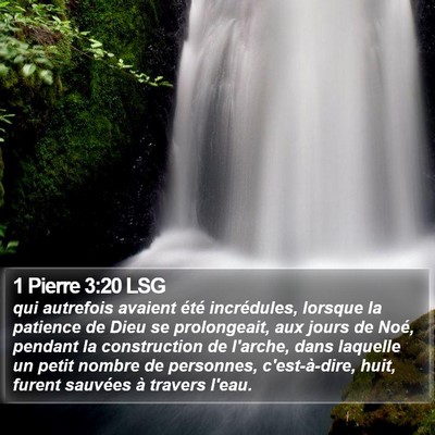 1 Pierre 3:20 LSG Bible Verse Image