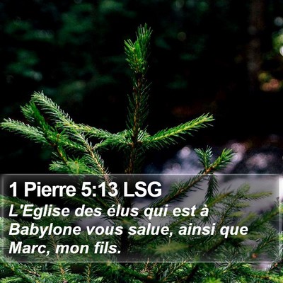 1 Pierre 5:13 LSG Bible Verse Image
