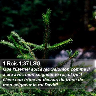 1 Rois 1:37 LSG Bible Verse Image