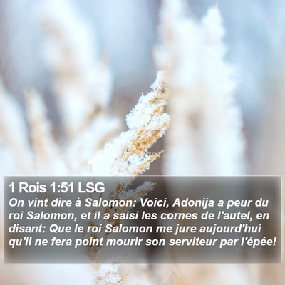 1 Rois 1:51 LSG Bible Verse Image