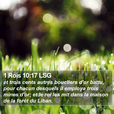 1 Rois 10:17 LSG Bible Verse Image
