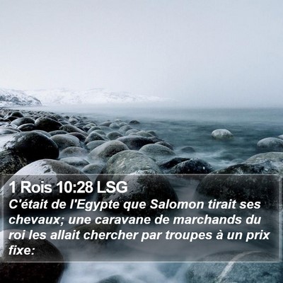 1 Rois 10:28 LSG Bible Verse Image