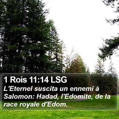 1 Rois 11:14 LSG Bible Verse Image