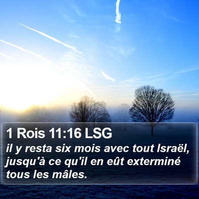 1 Rois 11:16 LSG Bible Verse Image