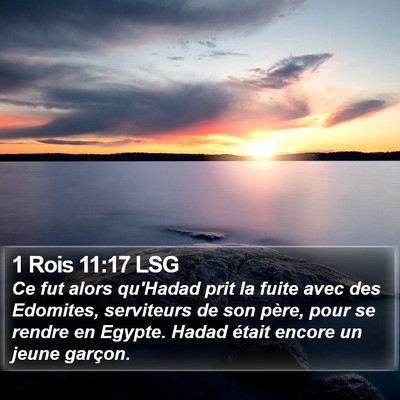 1 Rois 11:17 LSG Bible Verse Image