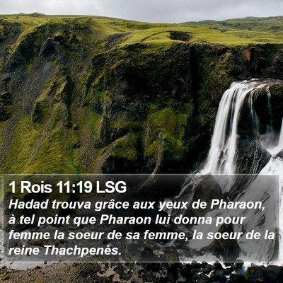 1 Rois 11:19 LSG Bible Verse Image