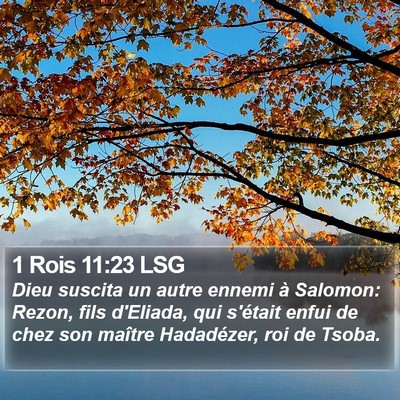 1 Rois 11:23 LSG Bible Verse Image