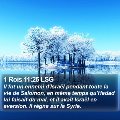 1 Rois 11:25 LSG Bible Verse Image