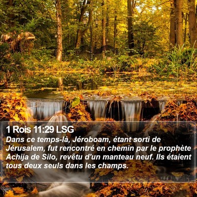 1 Rois 11:29 LSG Bible Verse Image