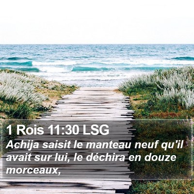 1 Rois 11:30 LSG Bible Verse Image