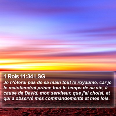 1 Rois 11:34 LSG Bible Verse Image