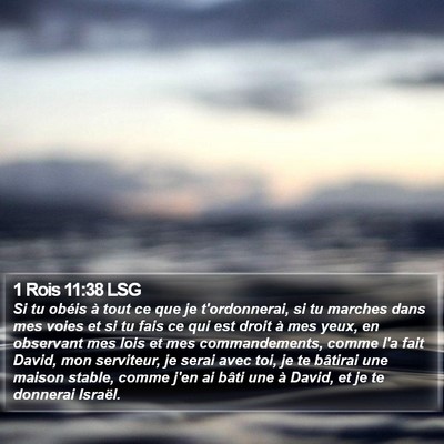 1 Rois 11:38 LSG Bible Verse Image