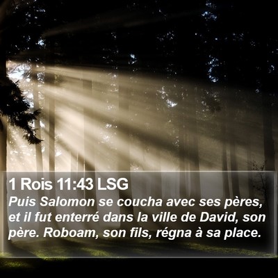 1 Rois 11:43 LSG Bible Verse Image