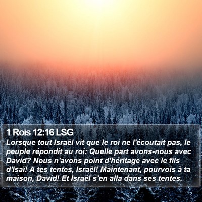 1 Rois 12:16 LSG Bible Verse Image