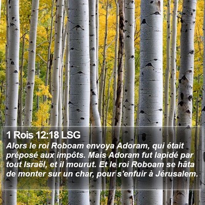 1 Rois 12:18 LSG Bible Verse Image