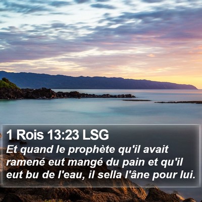 1 Rois 13:23 LSG Bible Verse Image