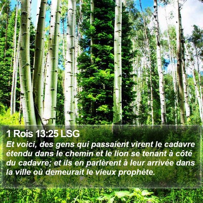 1 Rois 13:25 LSG Bible Verse Image