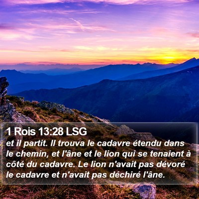 1 Rois 13:28 LSG Bible Verse Image