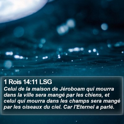 1 Rois 14:11 LSG Bible Verse Image