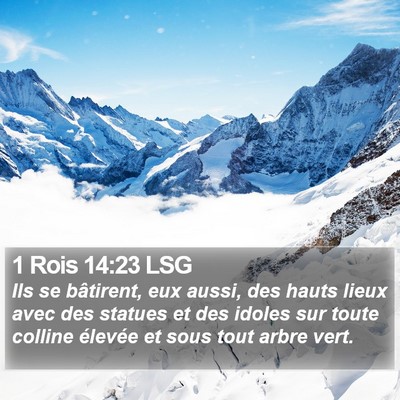 1 Rois 14:23 LSG Bible Verse Image