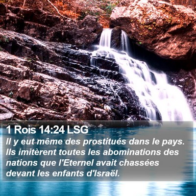 1 Rois 14:24 LSG Bible Verse Image