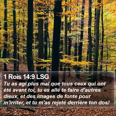 1 Rois 14:9 LSG Bible Verse Image
