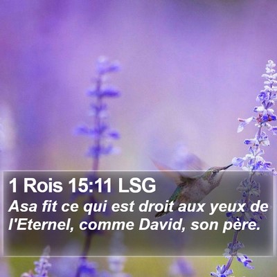 1 Rois 15:11 LSG Bible Verse Image