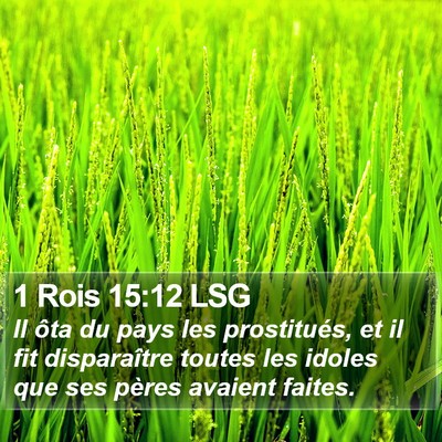 1 Rois 15:12 LSG Bible Verse Image