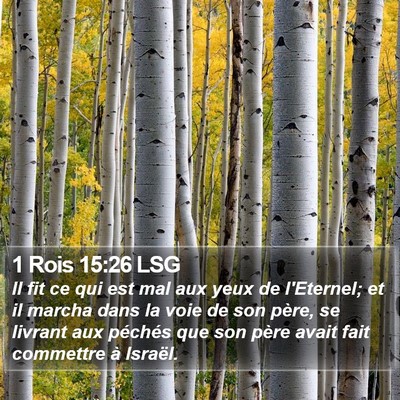 1 Rois 15:26 LSG Bible Verse Image