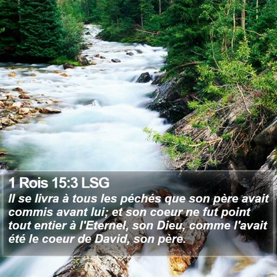 1 Rois 15:3 LSG Bible Verse Image