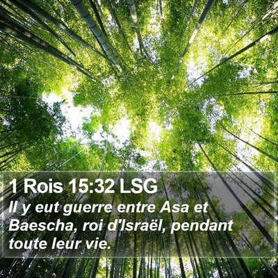 1 Rois 15:32 LSG Bible Verse Image