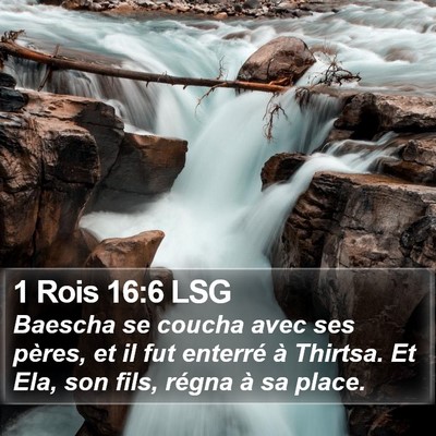 1 Rois 16:6 LSG Bible Verse Image