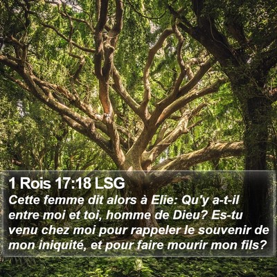 1 Rois 17:18 LSG Bible Verse Image