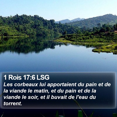 1 Rois 17:6 LSG Bible Verse Image