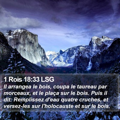 1 Rois 18:33 LSG Bible Verse Image