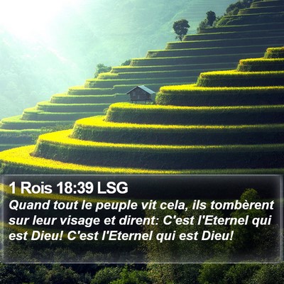 1 Rois 18:39 LSG Bible Verse Image