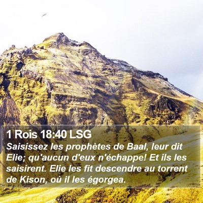 1 Rois 18:40 LSG Bible Verse Image