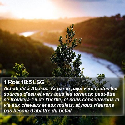 1 Rois 18:5 LSG Bible Verse Image