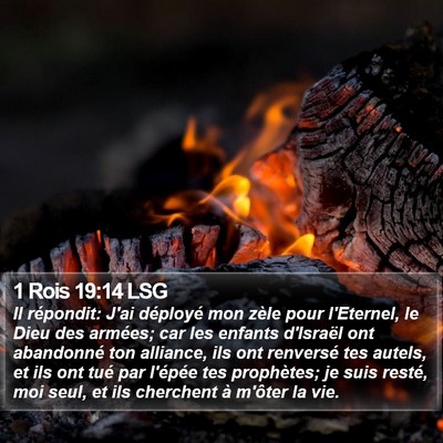 1 Rois 19:14 LSG Bible Verse Image