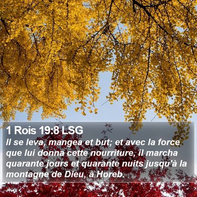 1 Rois 19:8 LSG Bible Verse Image