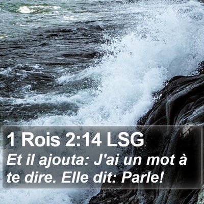 1 Rois 2:14 LSG Bible Verse Image