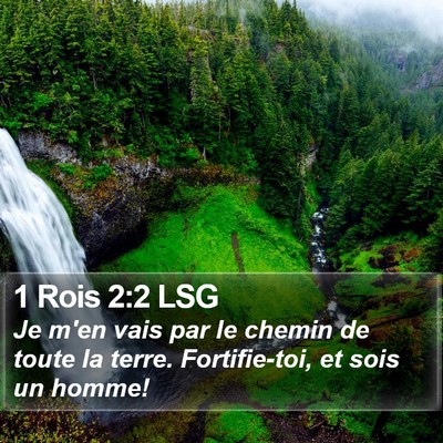 1 Rois 2:2 LSG Bible Verse Image