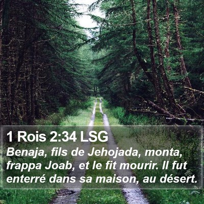 1 Rois 2:34 LSG Bible Verse Image