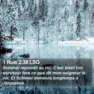 1 Rois 2:38 LSG Bible Verse Image